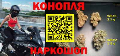 стаф Кингисепп