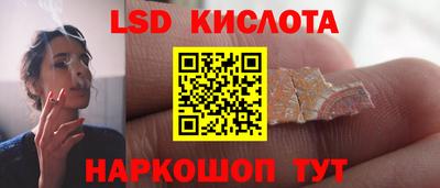 стаф Кингисепп