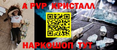 стаф Кингисепп