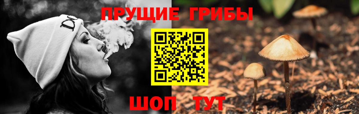 Псилоцибиновые грибы мицелий Кузнецк